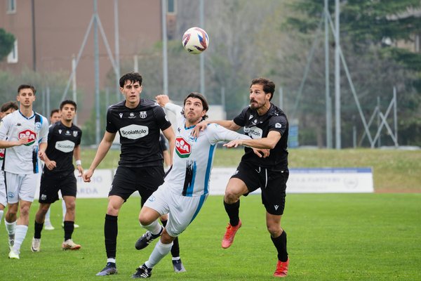 Quels types d'exercices sont les plus efficaces pour renforcer les muscles du tronc chez les skieurs de bosses?