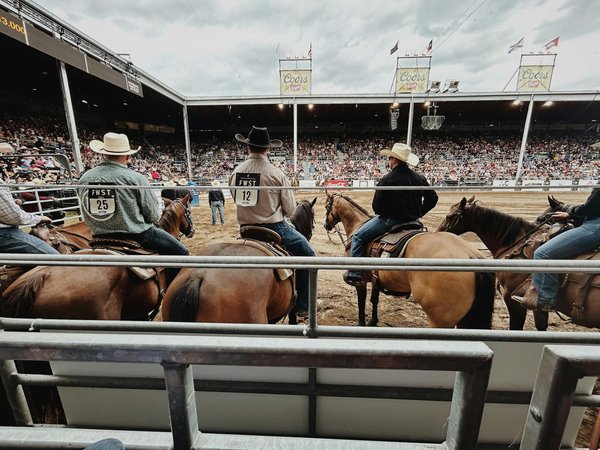 Comment intégrer efficacement des exercices de proprioception dans l'entraînement des joueurs de volleyball?